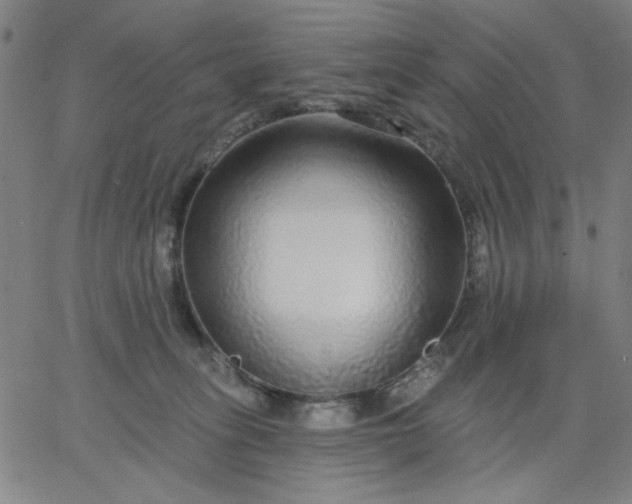 X0000067370275200604131849