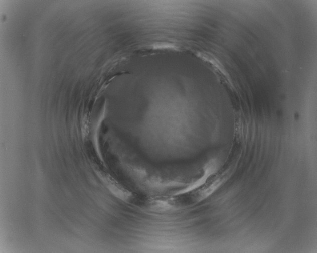 X0000067370285200604131849