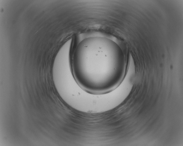 X0000067370287200604131849