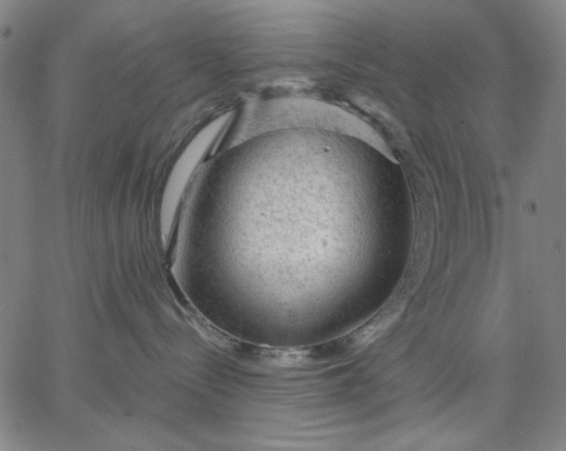 X0000067370288200604131849