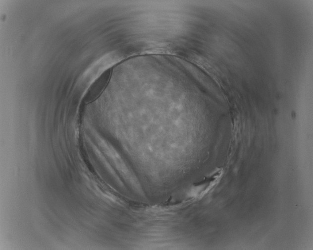 X0000067370290200604131848