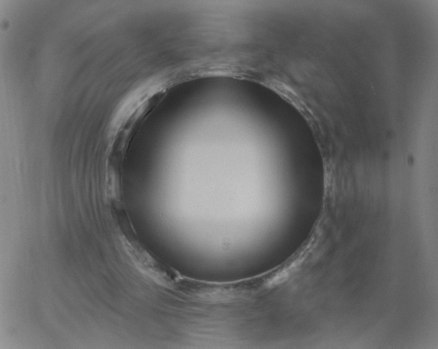 X0000067370293200604131848