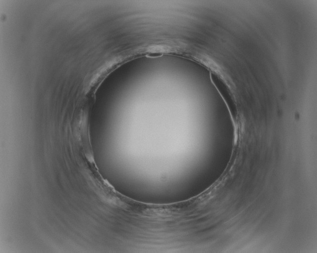 X0000067370297200604131848