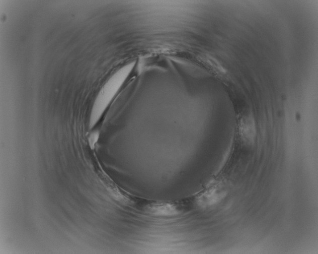 X0000067370322200604131848