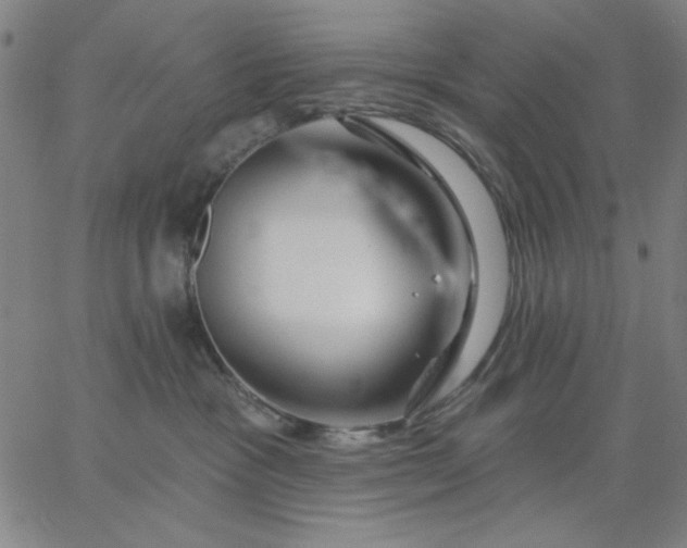 X0000067370333200604131848