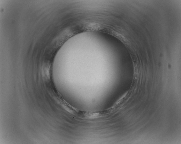 X0000067370334200604131848