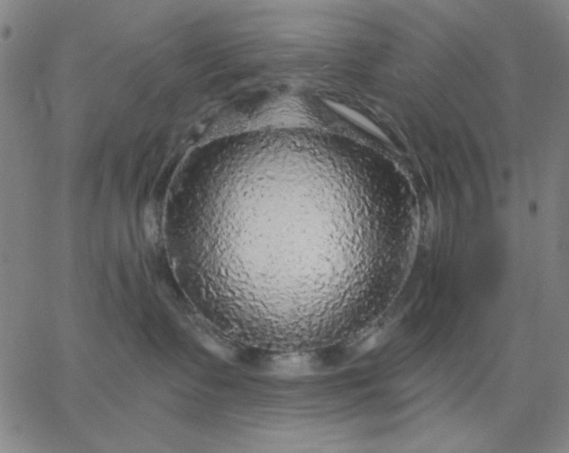 X0000067370335200604131847