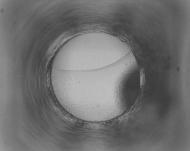 X0000067370339200604131847