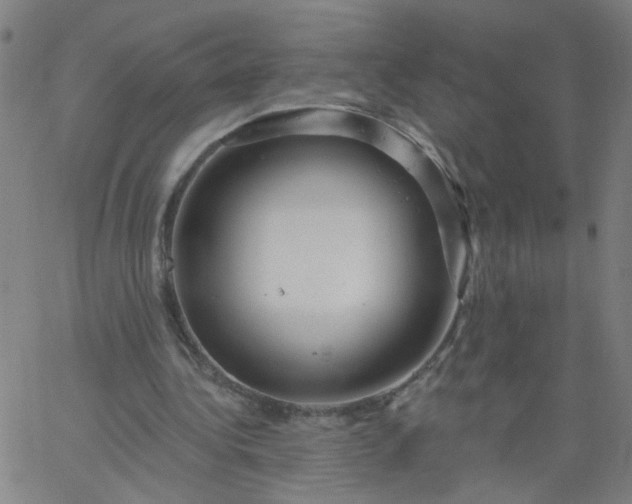X0000067370340200604131847