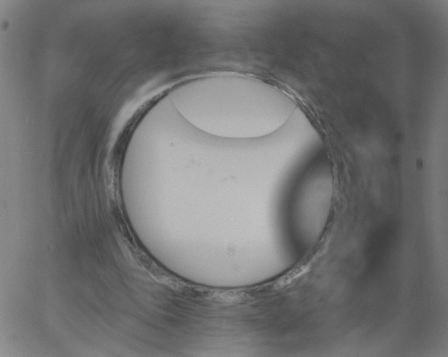 X0000067370343200604131847