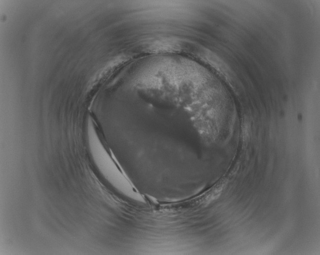 X0000067370353200604131847