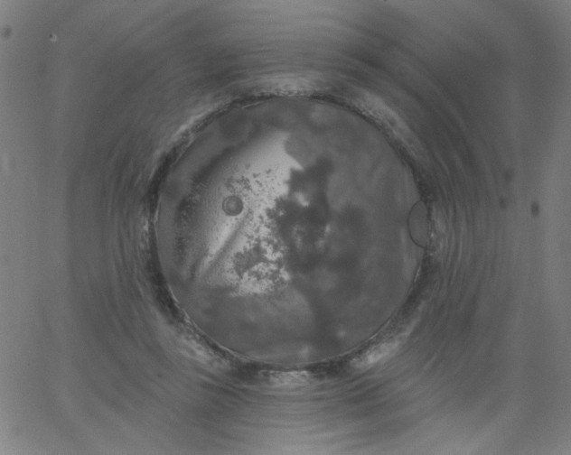 X0000067370355200604131847