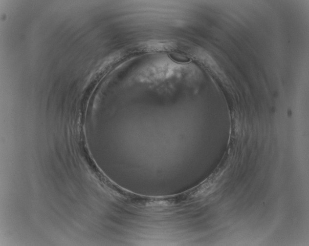 X0000067370357200604131847