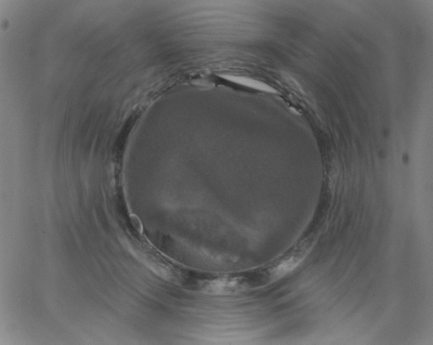 X0000067370366200604131847