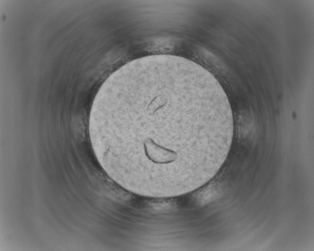 X0000067370370200604131847