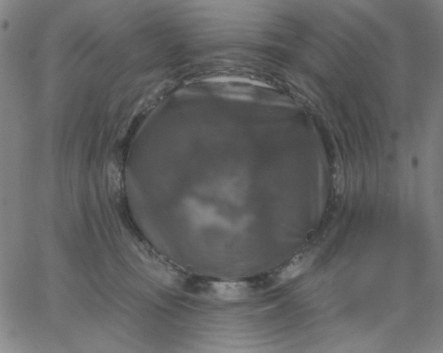 X0000067370371200604131847