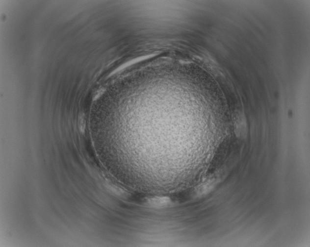 X0000067370374200604131847