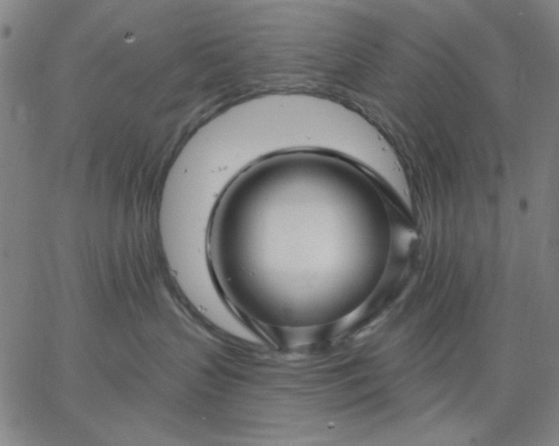 X0000067370383200604131847