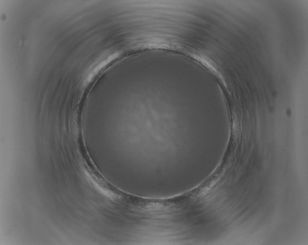 X0000067370390200604131847