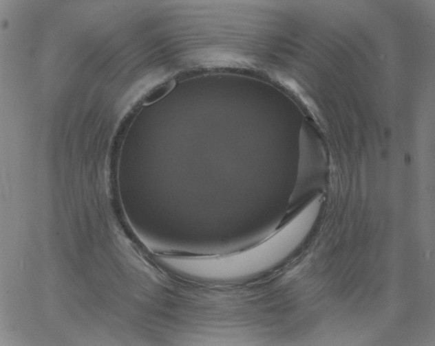 X0000067370391200604131847