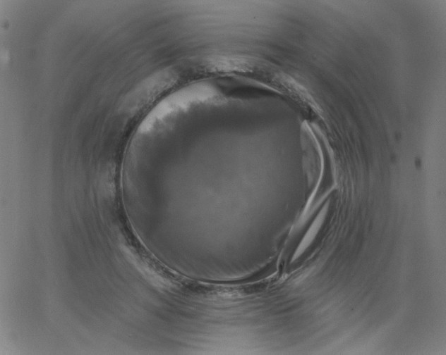 X0000067370402200604131846