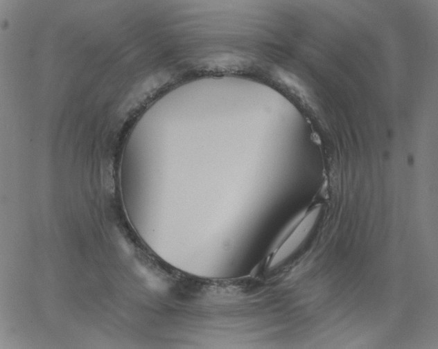 X0000067370403200604131846