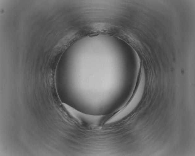X0000067370413200604131846