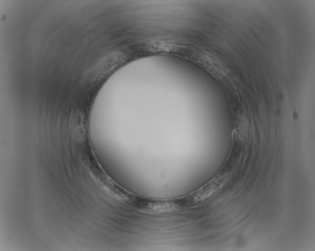X0000067370414200604131846