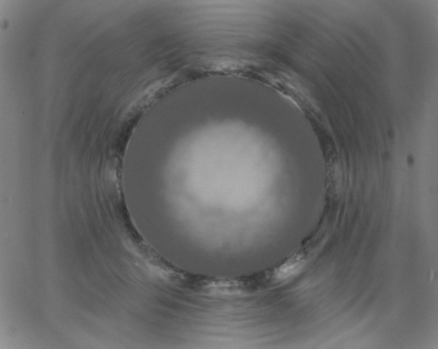 X0000067370415200604131846