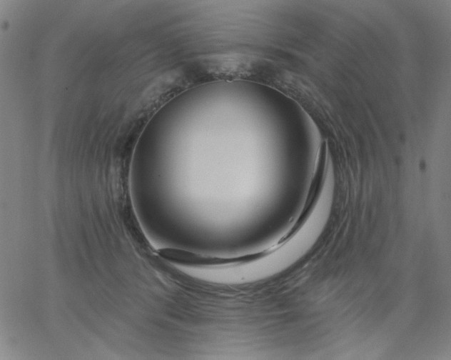 X0000067370416200604131846
