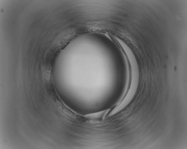 X0000067370417200604131846