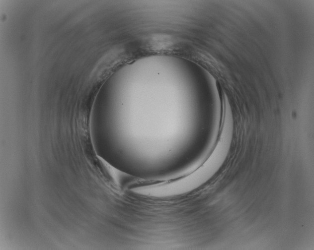 X0000067370421200604131846