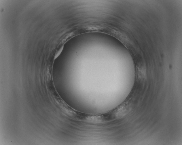 X0000067370422200604131846