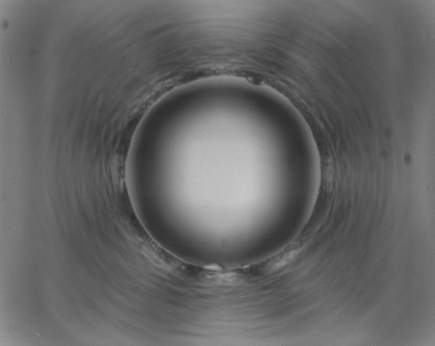 X0000067370428200604131846