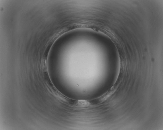 X0000067370429200604131846