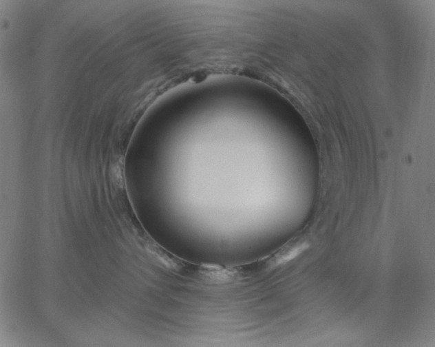 X0000067370432200604131846