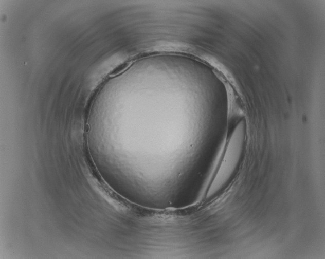 X0000067370437200604131845