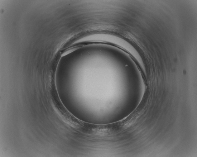 X0000067370448200604131845