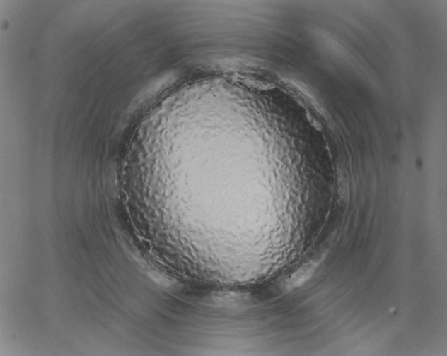X0000067370453200604131845
