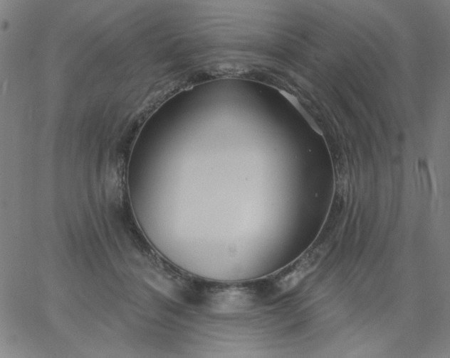 X0000067370460200604131846