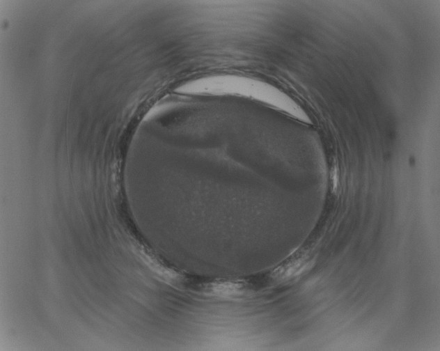 X0000067370462200604131846