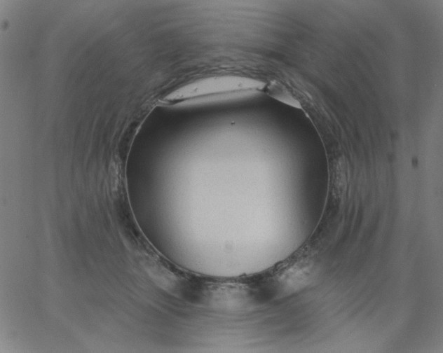 X0000067370463200604131846