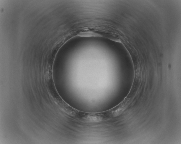 X0000067370464200604131846