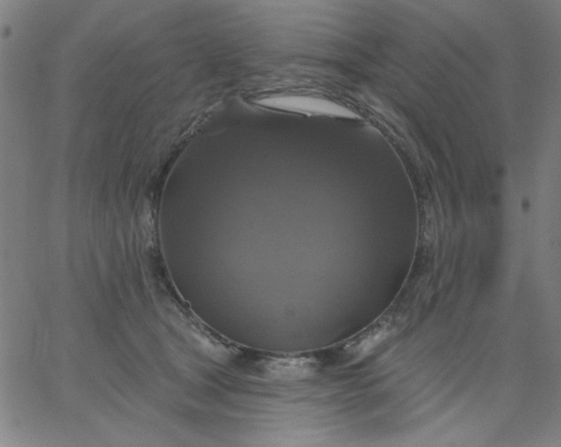 X0000067370465200604131846