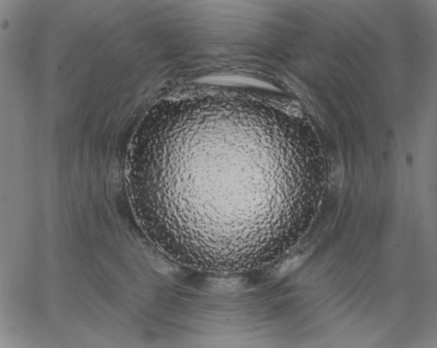 X0000067370469200604131846
