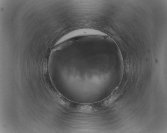 X0000067370471200604131846