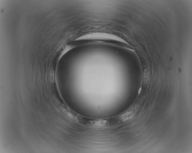 X0000067370474200604131846
