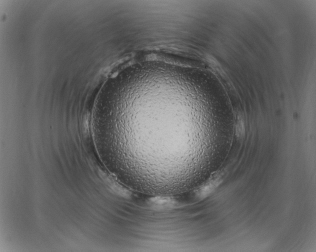 X0000067370477200604131846