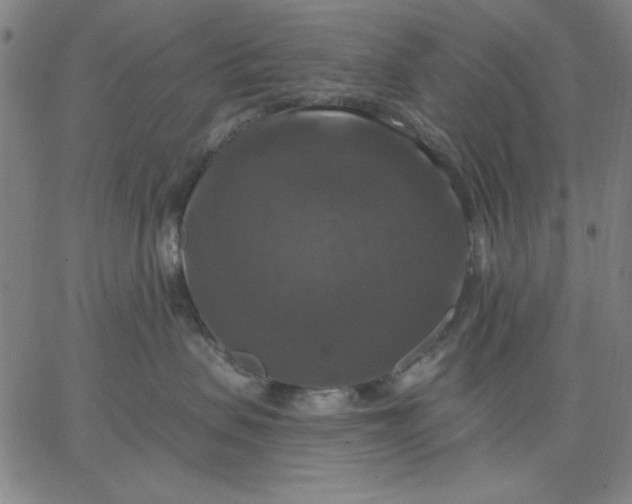 X0000067370479200604131846