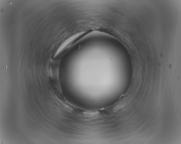 X0000067370480200604131846